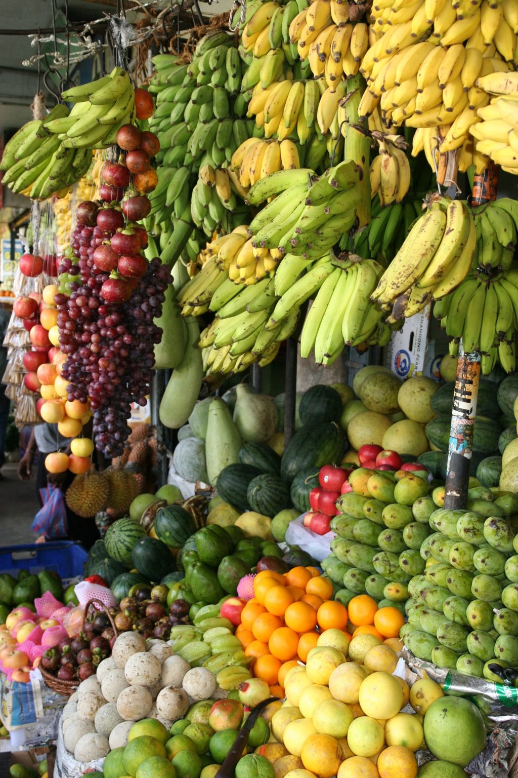 Kona Farmers Markets | Sea Paradise 