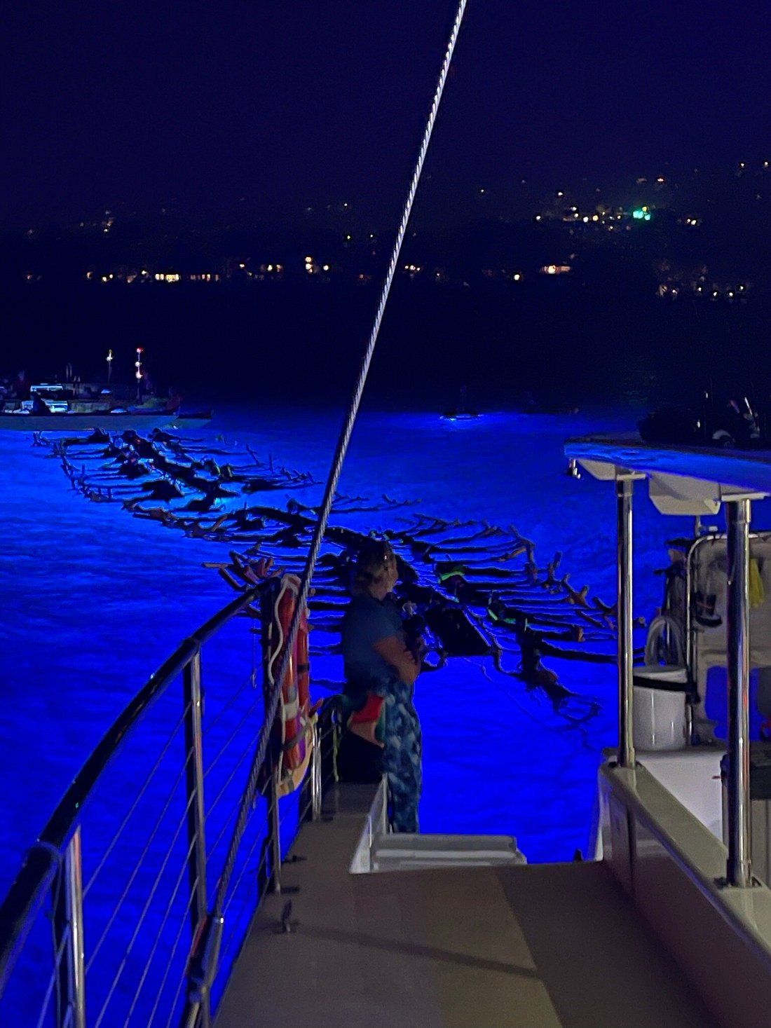 manta ray tour