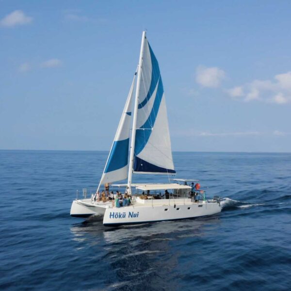 Snorkel tours Kona, manta ray tours and sailing Kona coast — Hoku Nui on calm Pacific, Sea Paradise seaparadise.com
